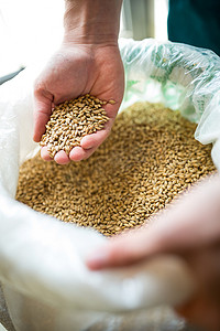 专业谷物加工 筑牢食品安全与品质制造的源头防线